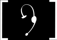 Managed I.T. Support